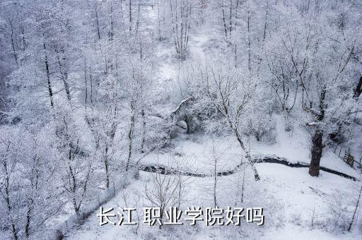 长江 职业学院好吗