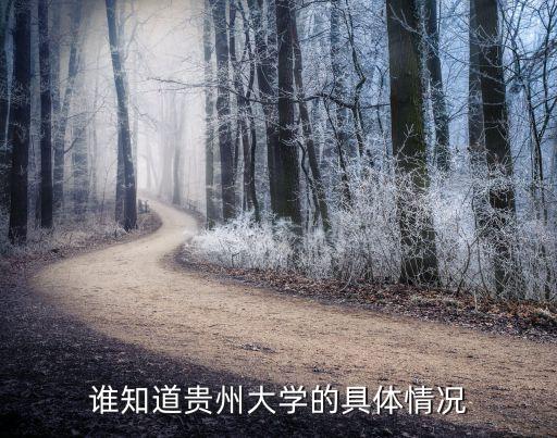谁知道贵州大学的具体情况