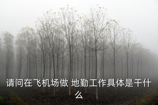 地勤是什么职业,地勤兵是什么兵种