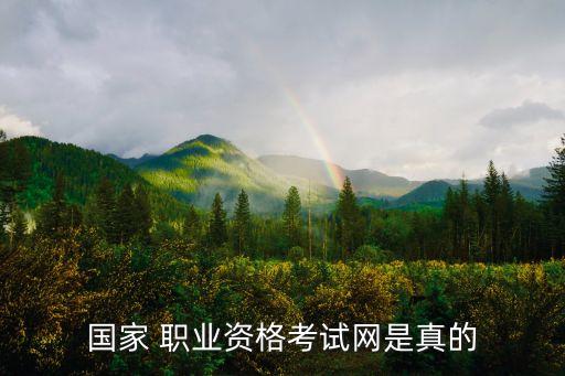 国家 职业资格考试网是真的