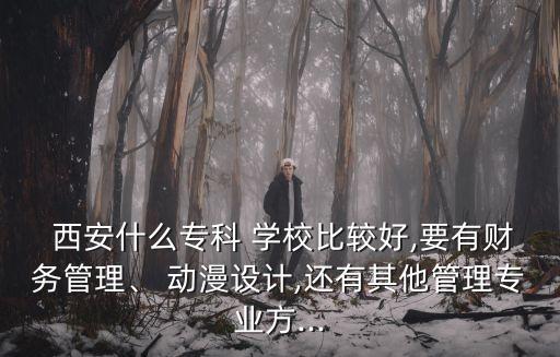  西安什么专科 学校比较好,要有财务管理、 动漫设计,还有其他管理专业方...