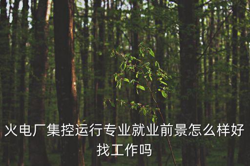 火电厂集控运行专业就业前景怎么样好找工作吗