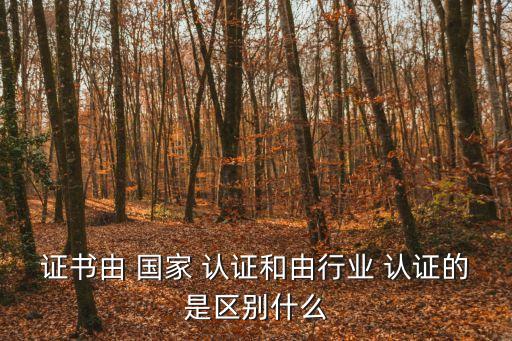 证书由 国家 认证和由行业 认证的是区别什么