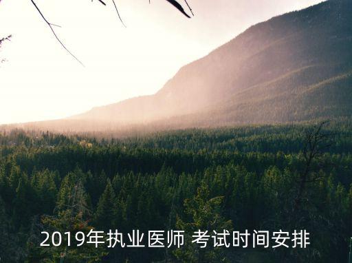 职业医技能考试时间,2023年执业医师技能考试大纲