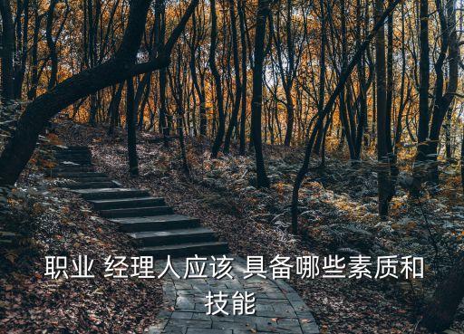  职业 经理人应该 具备哪些素质和技能