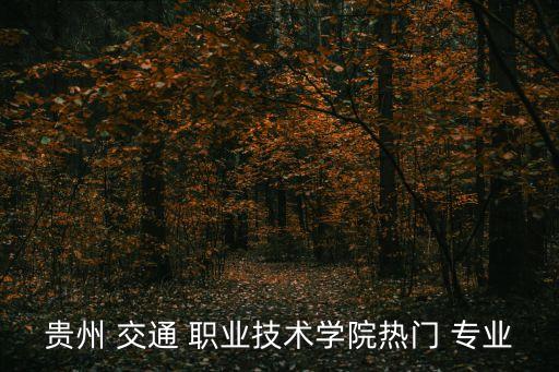 贵州 交通 职业技术学院热门 专业