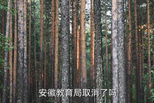  安徽教育局取消了吗