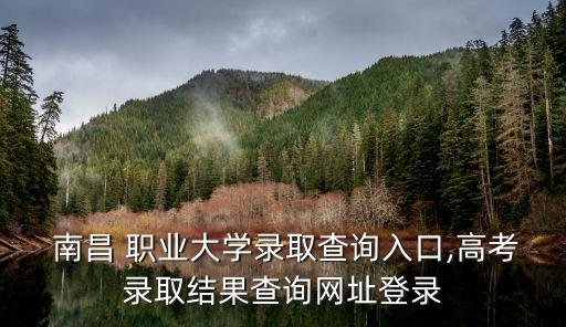  南昌 职业大学录取查询入口,高考录取结果查询网址登录