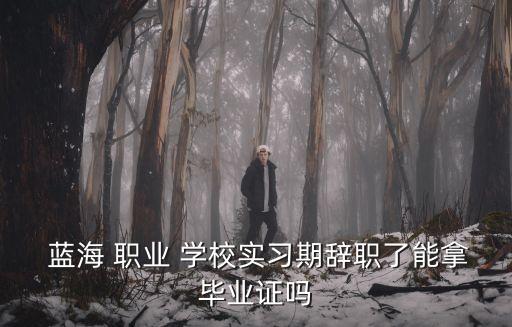 潍坊蓝海职业学校,潍坊央子蓝海学校怎么样