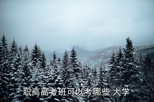 职高高考班可以考哪些 大学
