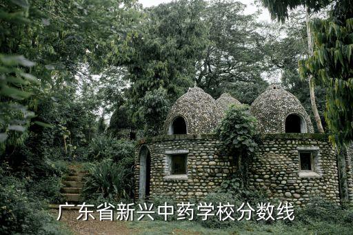 广东省新兴中药学校分数线