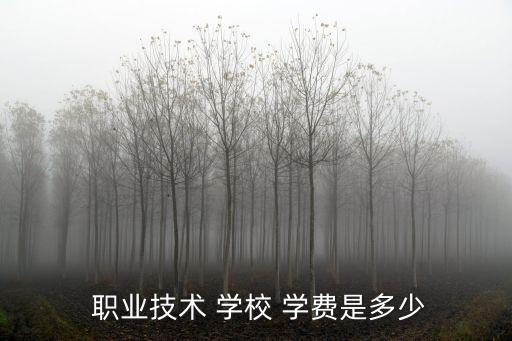  职业技术 学校 学费是多少