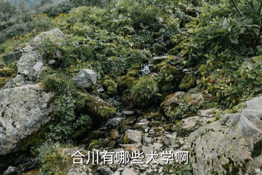 合川有哪些大学啊