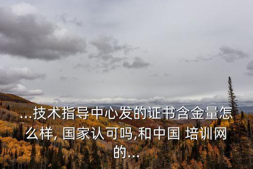 ...技术指导中心发的证书含金量怎么样, 国家认可吗,和中国 培训网的...