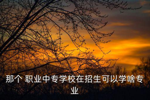 那个 职业中专学校在招生可以学啥专业