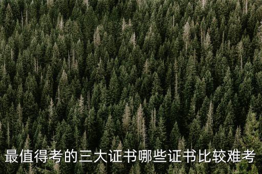中国最难考的职业资格证