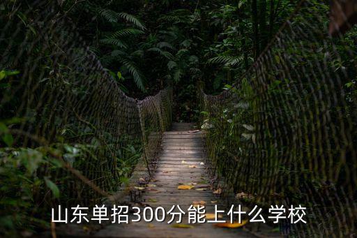 山东单招300分能上什么学校