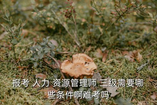 助理人力资源管理师(国家职业资格三级),人力资源管理师是不是国家职业资格