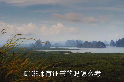 厦门咖啡职业培训学校,厦门闽捷职业培训学校正规吗