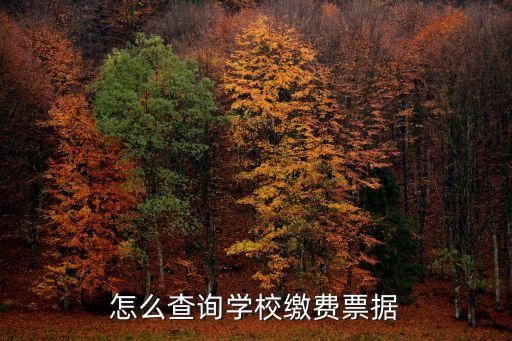 怎么查询学校缴费票据