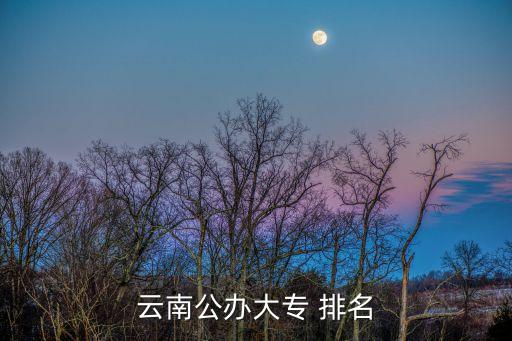 云南公办大专 排名