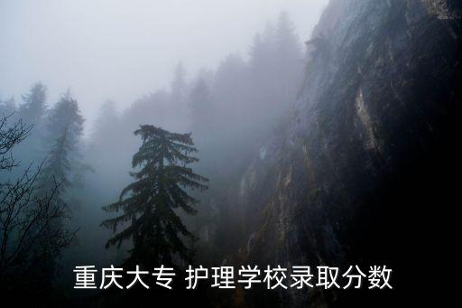  重庆大专 护理学校录取分数