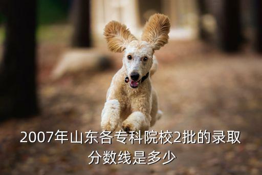 2007年山东各专科院校2批的录取 分数线是多少
