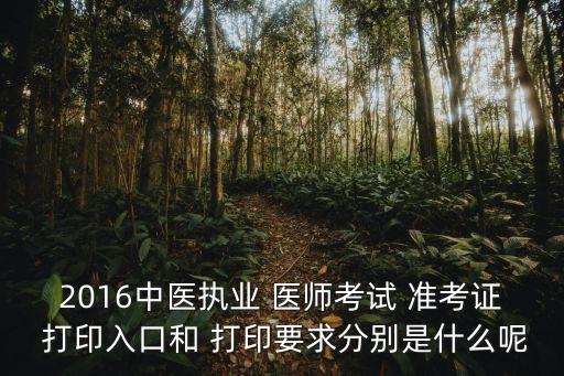 2016中医执业 医师考试 准考证 打印入口和 打印要求分别是什么呢