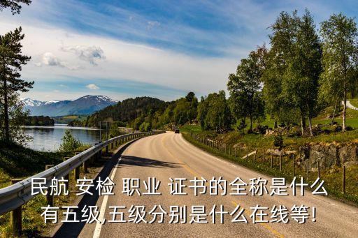 民航 安检 职业 证书的全称是什么有五级,五级分别是什么在线等!