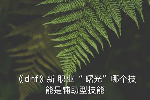 《dnf》新 职业“ 曙光”哪个技能是辅助型技能