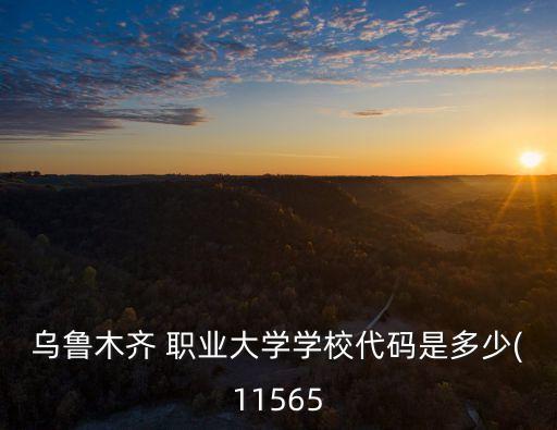 乌鲁木齐 职业大学学校代码是多少(11565
