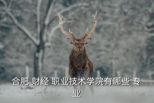 合肥 财经 职业技术学院有哪些 专业