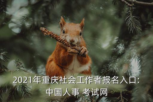 2021年重庆社会工作者报名入口:中国人事 考试网