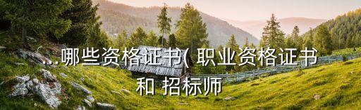 ...哪些资格证书( 职业资格证书和 招标师