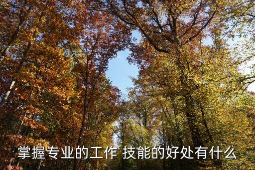 提升职业技能的重要性,大学生培养职业技能的重要性