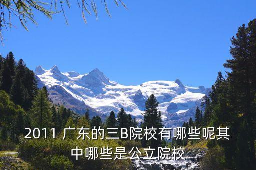 广东公办专b职业技术学院