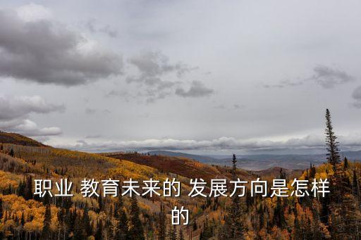  职业 教育未来的 发展方向是怎样的