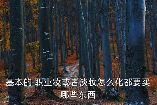 基本的 职业妆或者淡妆怎么化都要买哪些东西