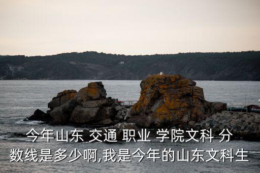 今年山东 交通 职业 学院文科 分数线是多少啊,我是今年的山东文科生