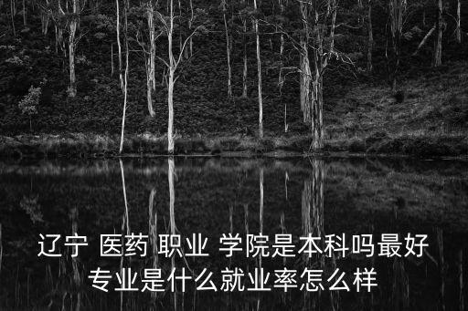 辽宁 医药 职业 学院是本科吗最好专业是什么就业率怎么样