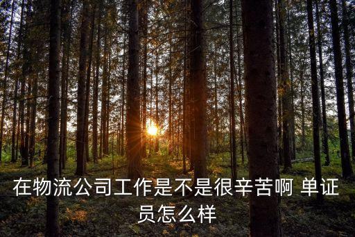 在物流公司工作是不是很辛苦啊 单证员怎么样
