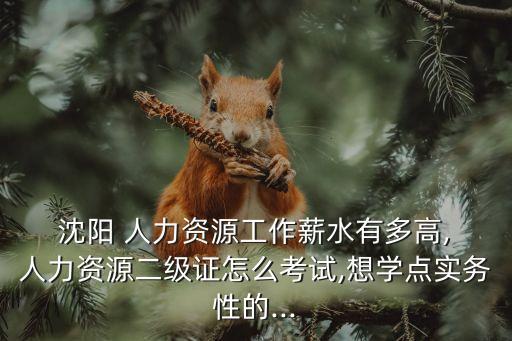 沈阳 人力资源职业资格培训,山东省人力资源职业资格证书查询