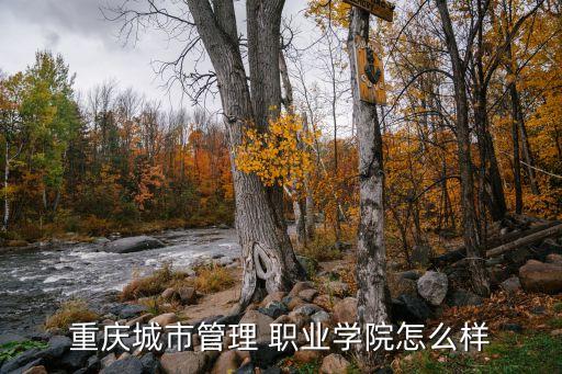 重庆城市管理 职业学院怎么样
