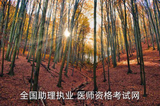 全国助理执业 医师资格考试网