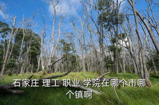 石家庄 理工 职业 学院在哪个市哪个镇啊