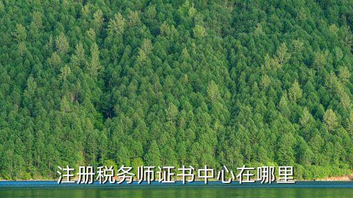 注册税务师证书中心在哪里