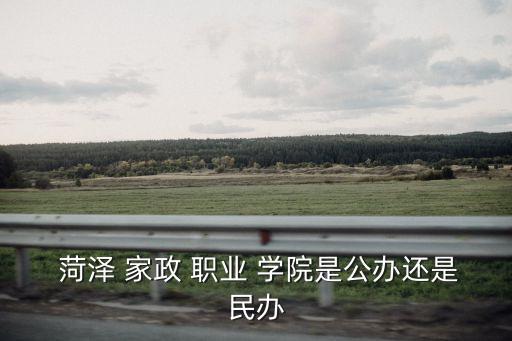  菏泽 家政 职业 学院是公办还是民办