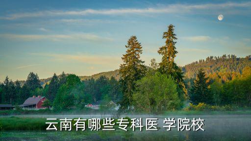 昆明护理职业学院地址,昆明卫生职业学院护理专业在哪个校区