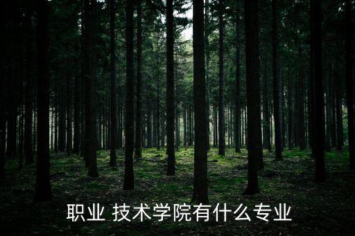  职业 技术学院有什么专业