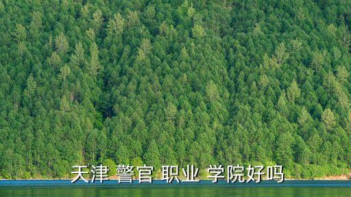 天津公安警官职业学院就业怎么样